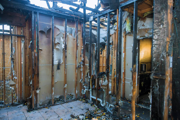 Professional Smoke Damage Removal technician working in Leesburg, OH